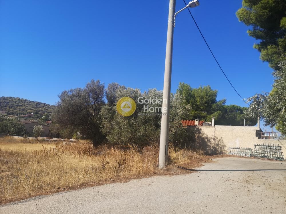 Parcel in Agios Nikolaos, Anavissos — Photo 4 of 4