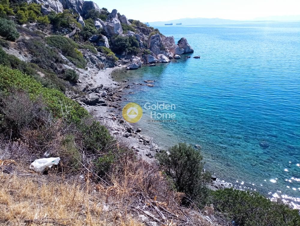 Αγροτεμάχιο στην Γιάλα, Σαλαμίνα — Φωτογραφία 3 από 8