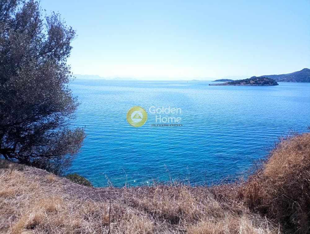 Αγροτεμάχιο στην Γιάλα, Σαλαμίνα — Φωτογραφία 5 από 8