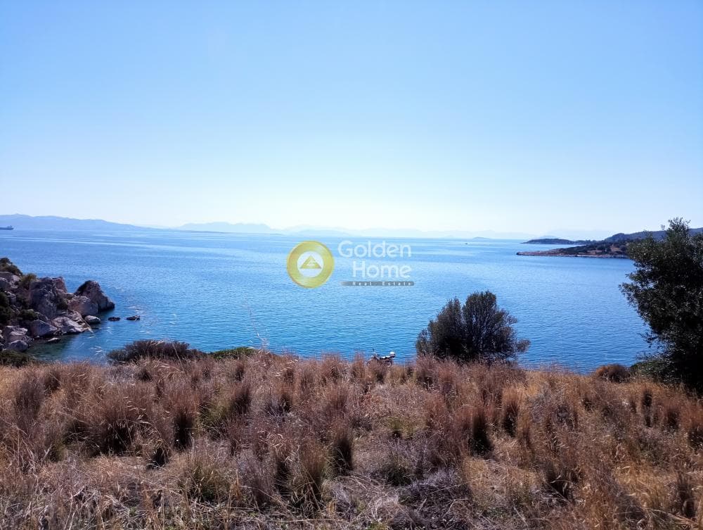 Αγροτεμάχιο στην Γιάλα, Σαλαμίνα — Φωτογραφία 6 από 8