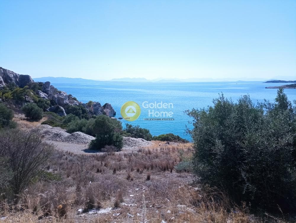 Αγροτεμάχιο στην Γιάλα, Σαλαμίνα — Φωτογραφία 1 από 8