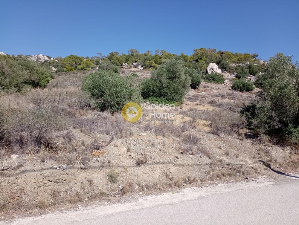 Αγροτεμάχιο στην Γιάλα, Σαλαμίνα — Φωτογραφία 7 από 8