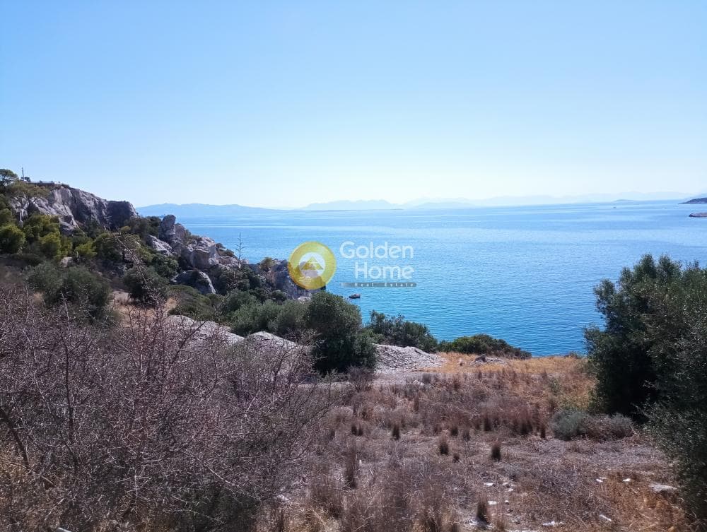 Αγροτεμάχιο στην Γιάλα, Σαλαμίνα — Φωτογραφία 8 από 8