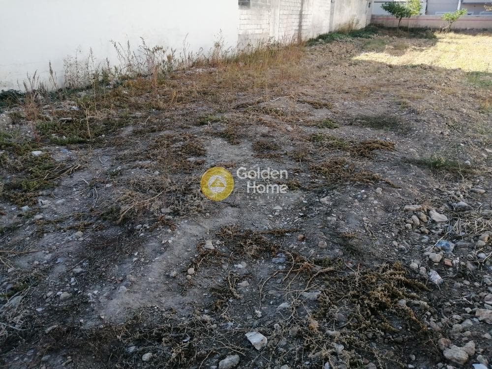 Οικόπεδο στην Βένιο Δασκαλειού, Κερατέα — Φωτογραφία 3 από 8