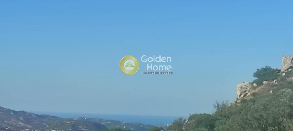 Οικόπεδο στην Πρινιάς, Τετραχώρι — Φωτογραφία 1 από 4