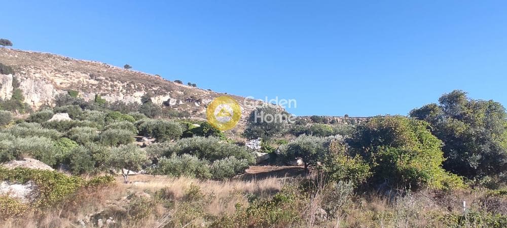 Οικόπεδο στην Πρινιάς, Τετραχώρι — Φωτογραφία 3 από 4