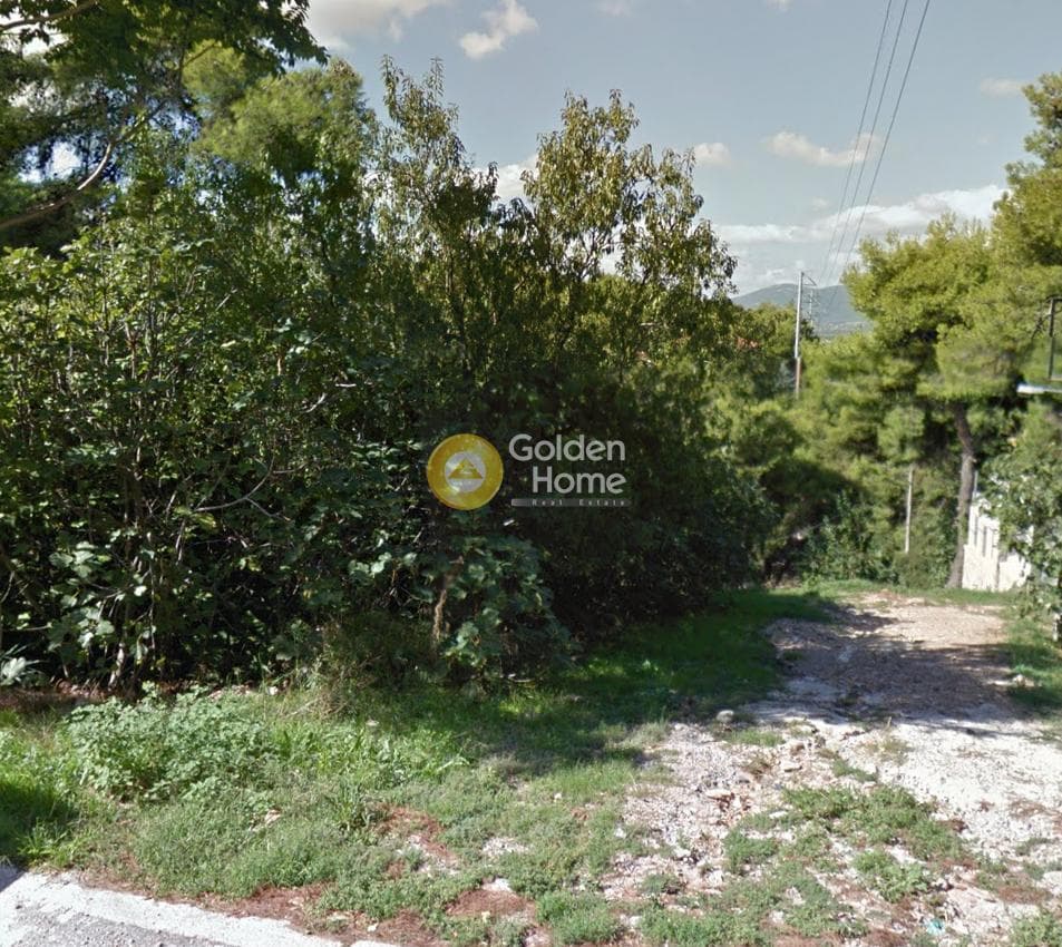 Building Plot in Agia Paraksevi, Anoixi — Photo 2 of 2