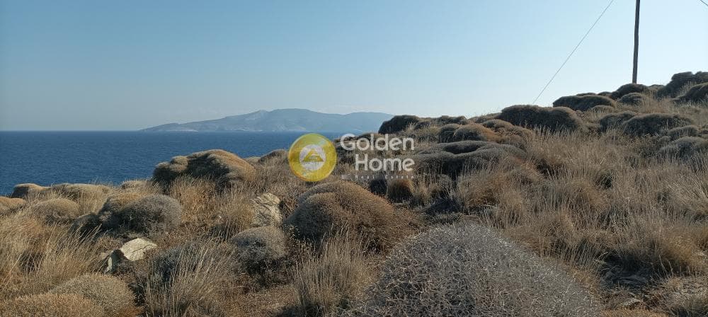Αγροτεμάχιο στην Πόρτο Εννιά, Κερατέα — Φωτογραφία 6 από 7
