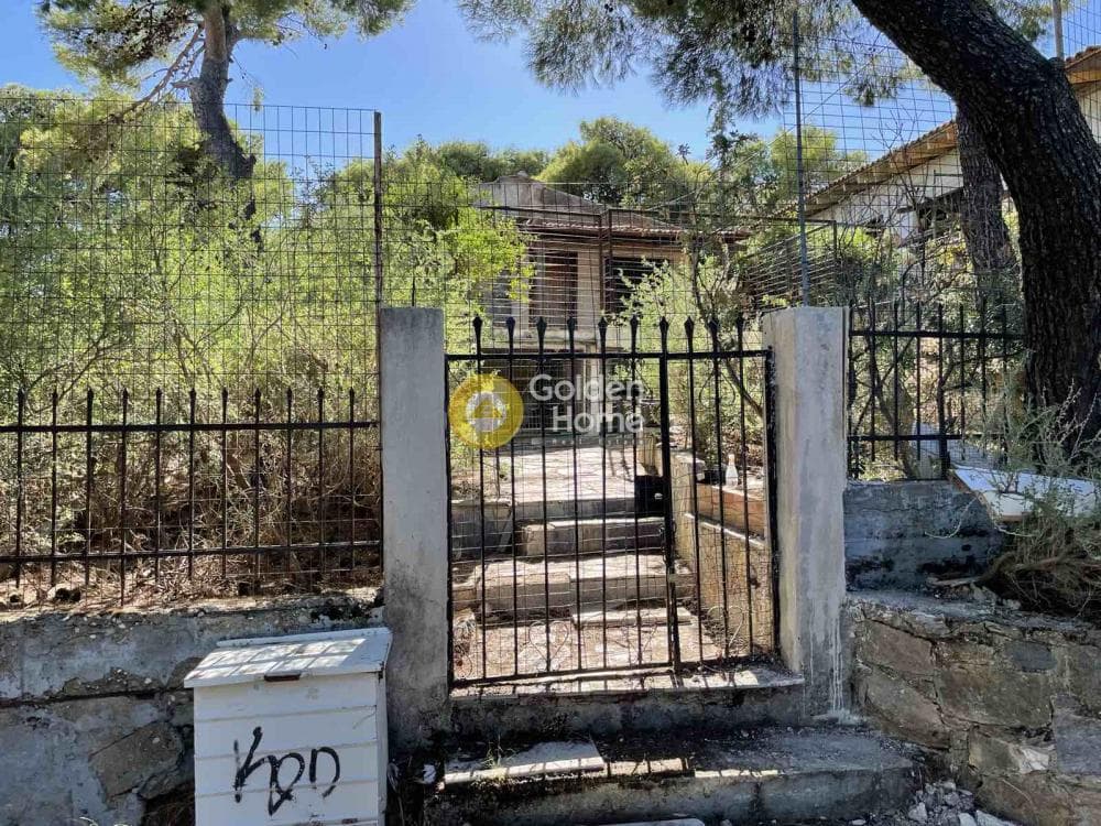 Αγροτεμάχιο στην Κεφαλάρι, Κηφισιά — Φωτογραφία 2 από 2