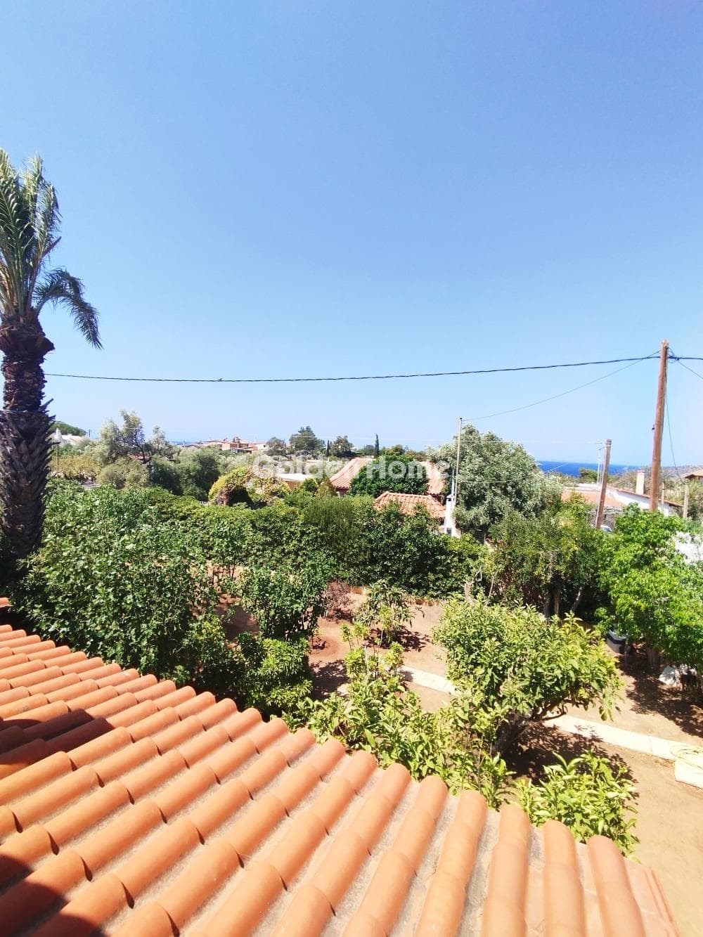 House in Thimari, Palaia Fokaia — Photo 4 of 18