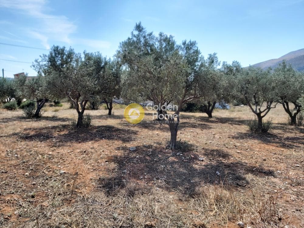 Οικόπεδο στην Καλύβια, Καλύβια Θορικού — Φωτογραφία 4 από 27
