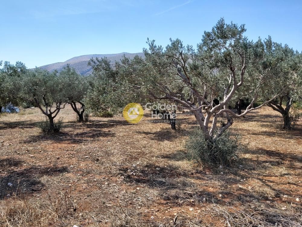 Οικόπεδο στην Καλύβια, Καλύβια Θορικού — Φωτογραφία 3 από 27