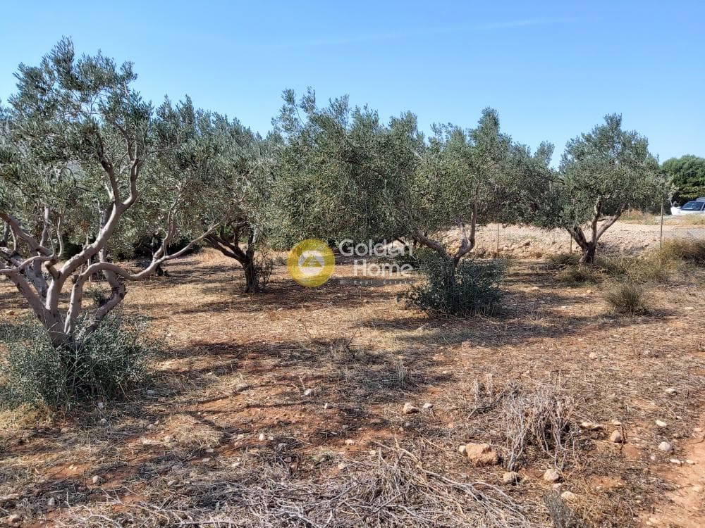 Οικόπεδο στην Καλύβια, Καλύβια Θορικού — Φωτογραφία 1 από 27