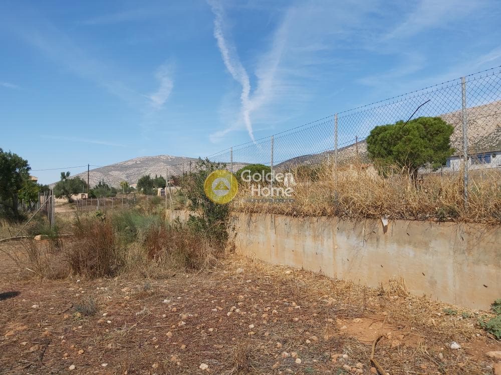 Οικόπεδο στην Καλύβια, Καλύβια Θορικού — Φωτογραφία 11 από 27