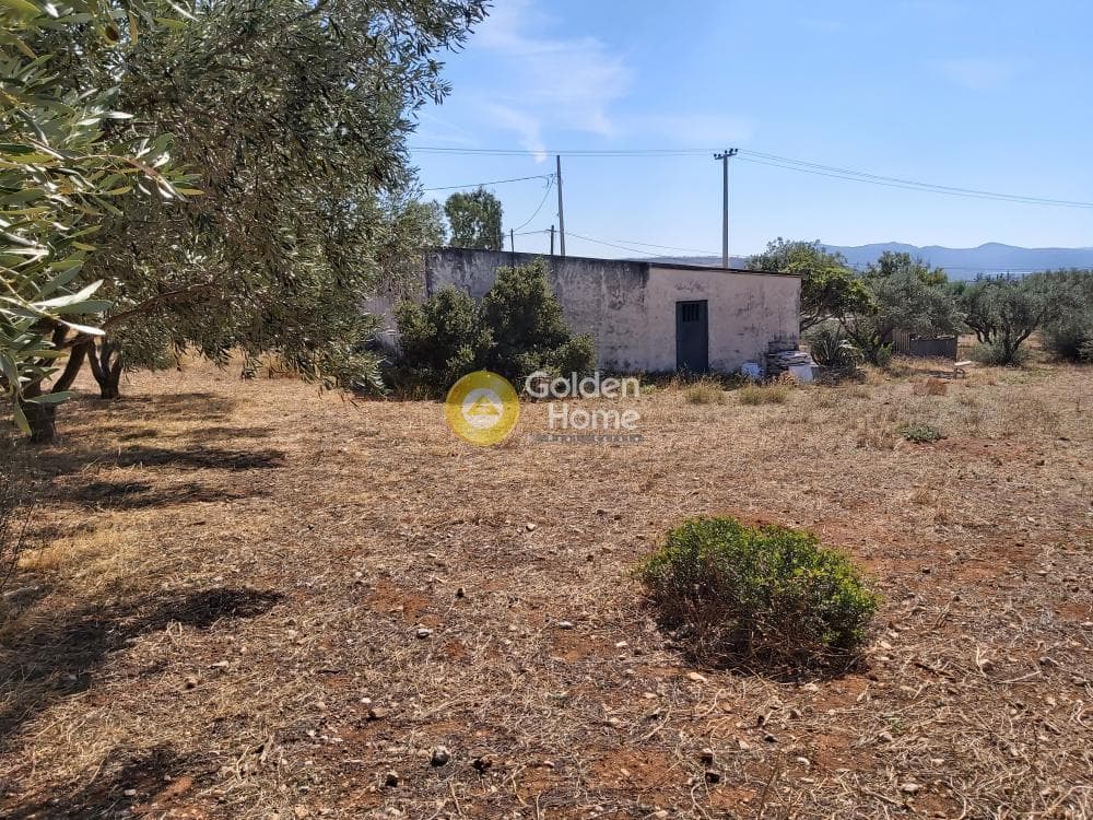 Οικόπεδο στην Καλύβια, Καλύβια Θορικού — Φωτογραφία 10 από 27