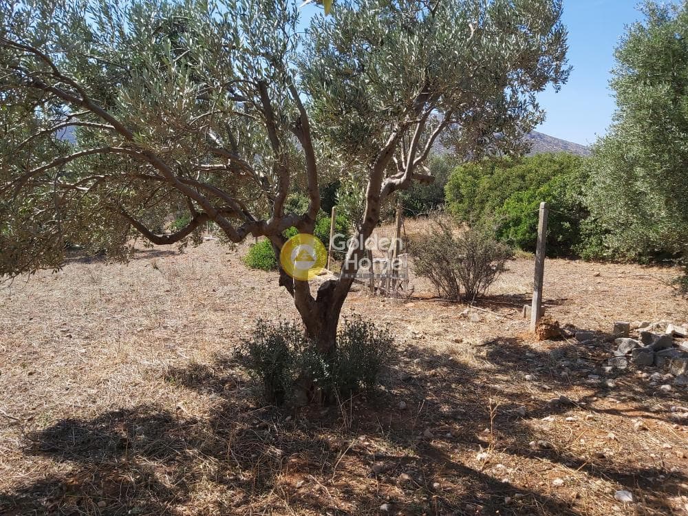 Οικόπεδο στην Καλύβια, Καλύβια Θορικού — Φωτογραφία 8 από 27