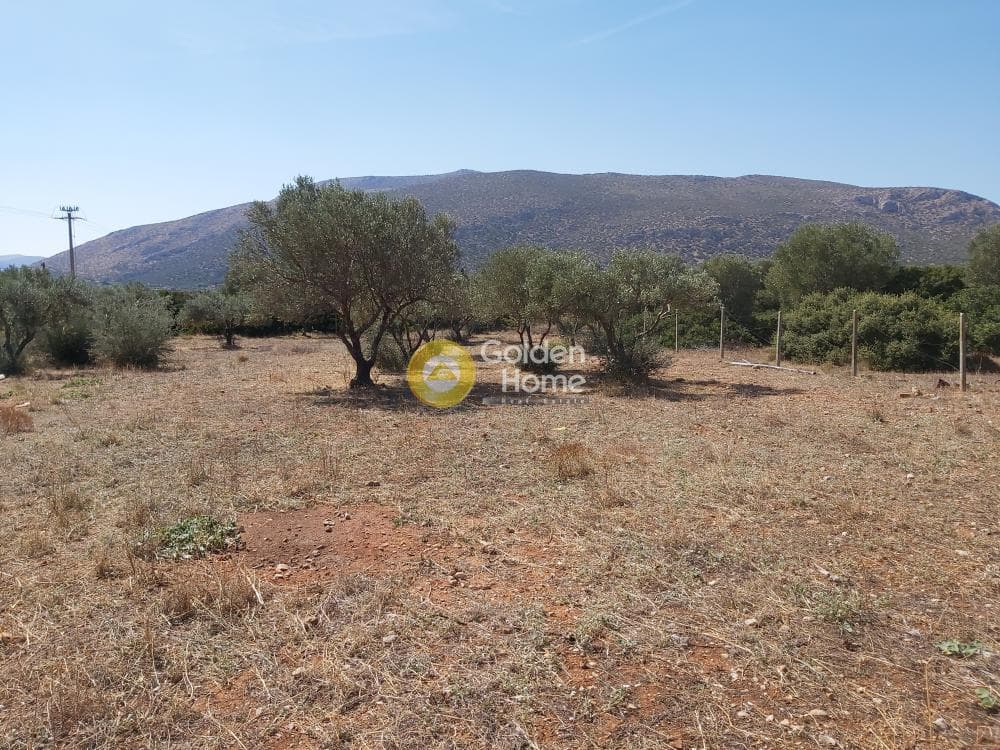 Οικόπεδο στην Καλύβια, Καλύβια Θορικού — Φωτογραφία 9 από 27