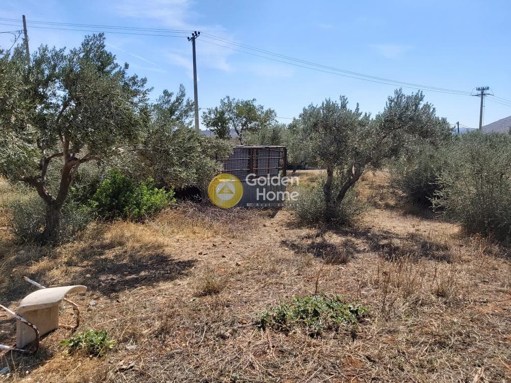 Οικόπεδο στην Καλύβια, Καλύβια Θορικού — Φωτογραφία 13 από 27