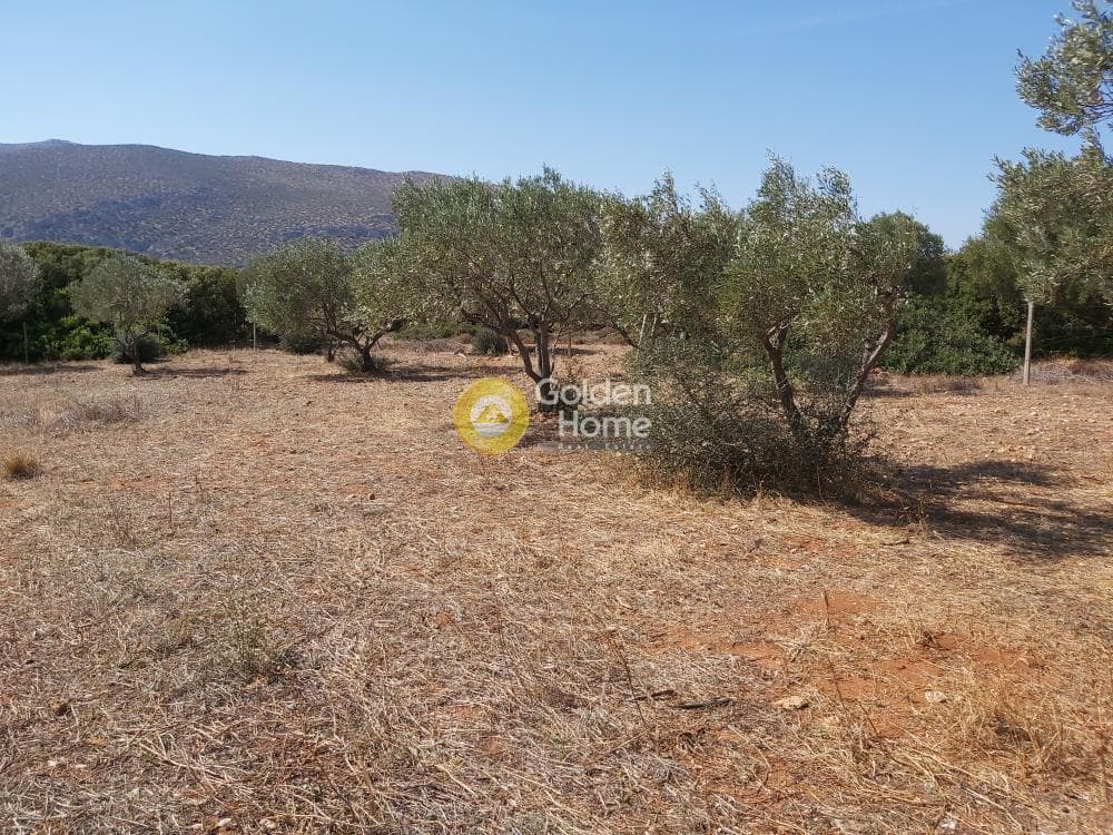 Οικόπεδο στην Καλύβια, Καλύβια Θορικού — Φωτογραφία 19 από 27
