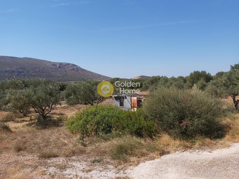 Οικόπεδο στην Καλύβια, Καλύβια Θορικού — Φωτογραφία 21 από 27