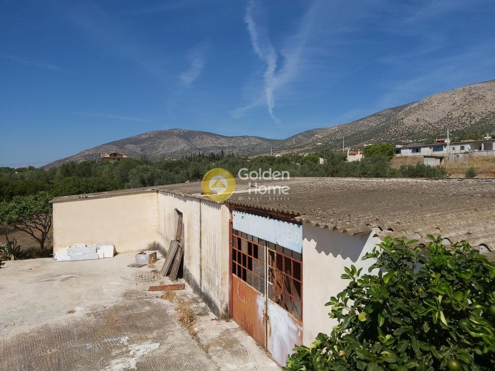 Οικόπεδο στην Καλύβια, Καλύβια Θορικού — Φωτογραφία 26 από 27