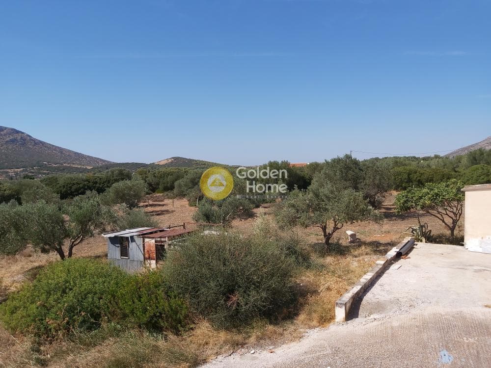 Οικόπεδο στην Καλύβια, Καλύβια Θορικού — Φωτογραφία 22 από 27