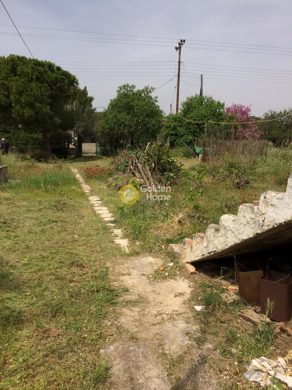 Μονοκατοικία στην Καλύβια, Καλύβια Θορικού — Φωτογραφία 4 από 11