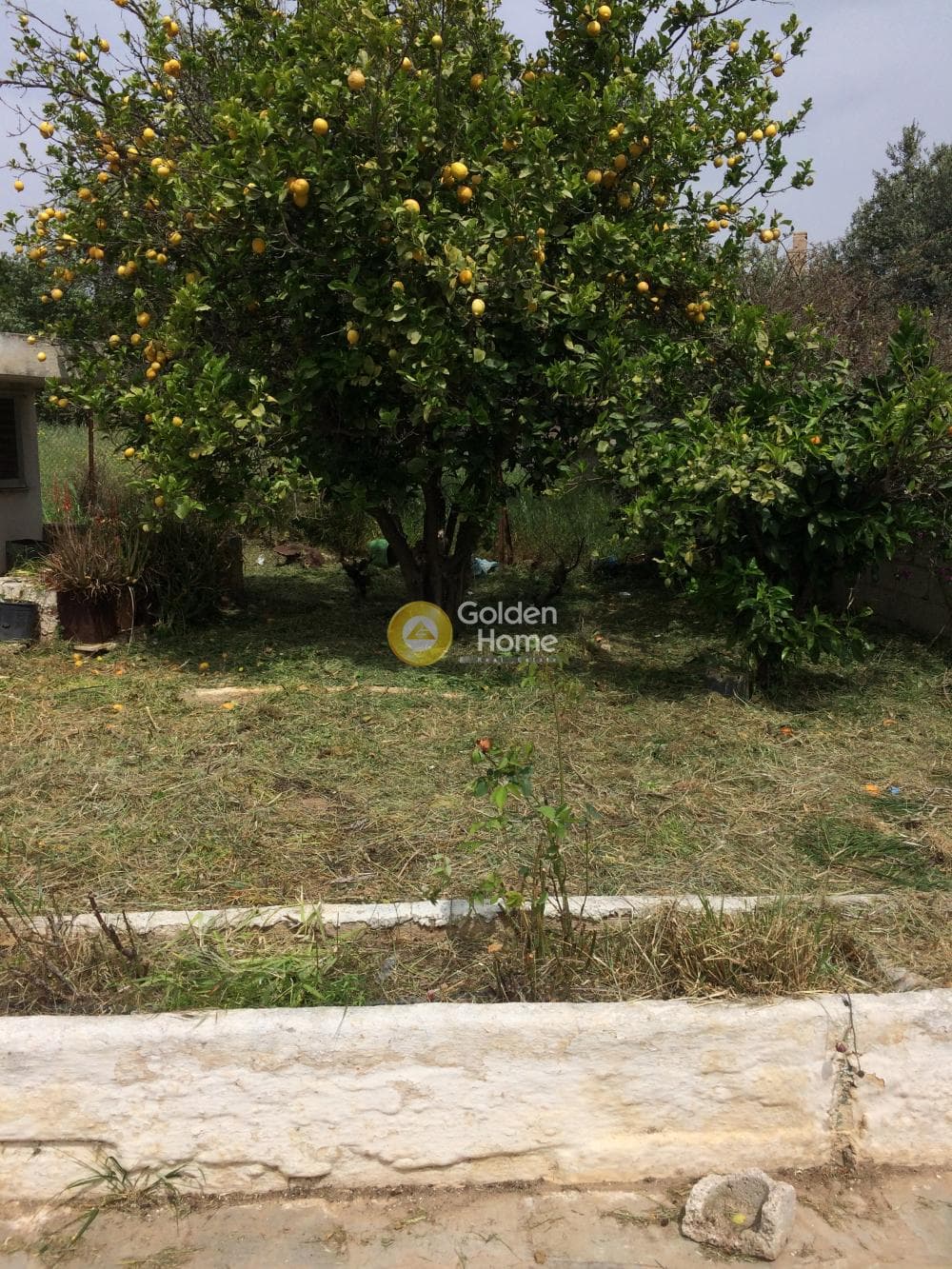 Μονοκατοικία στην Καλύβια, Καλύβια Θορικού — Φωτογραφία 8 από 11