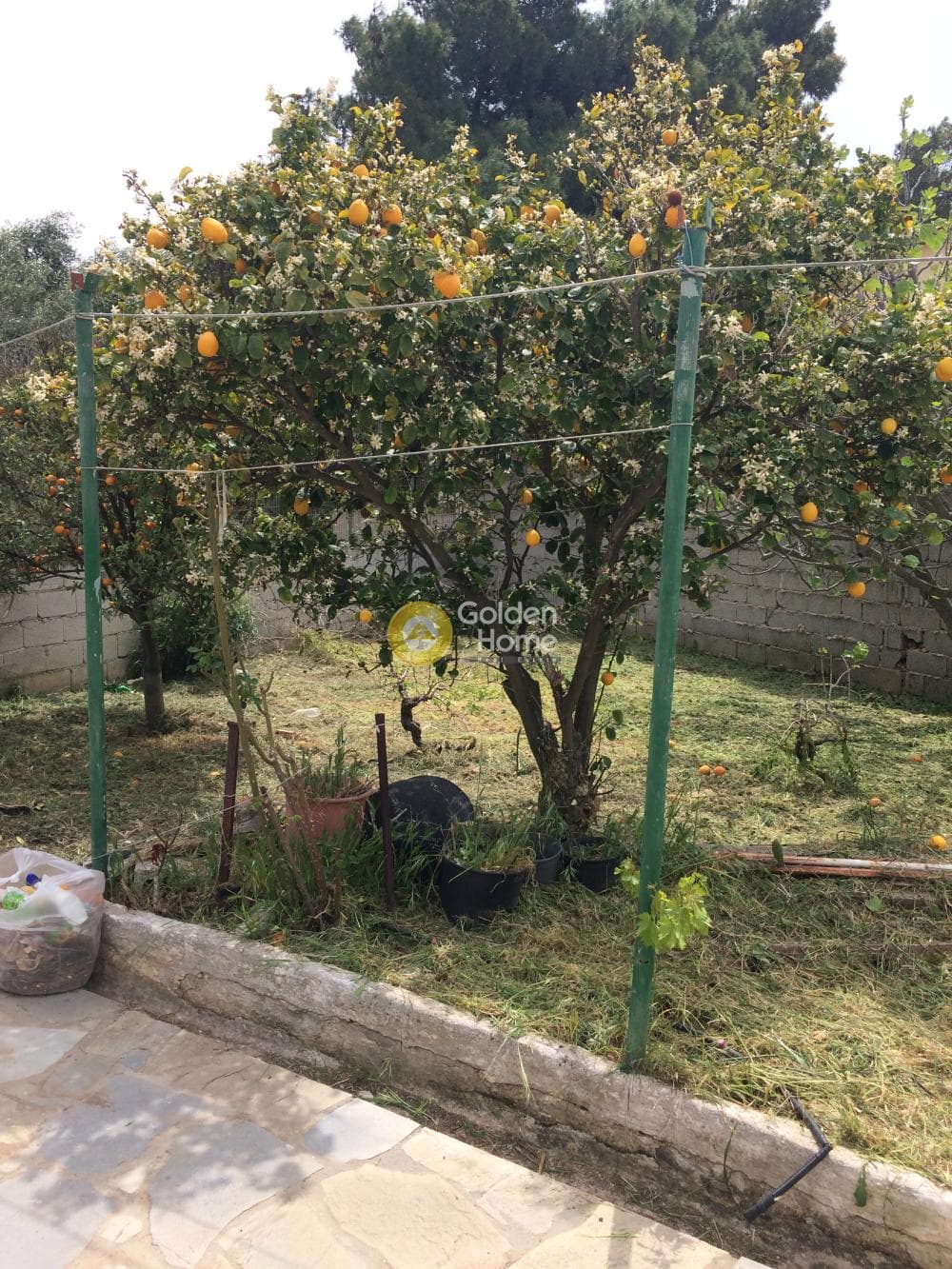 Μονοκατοικία στην Καλύβια, Καλύβια Θορικού — Φωτογραφία 11 από 11