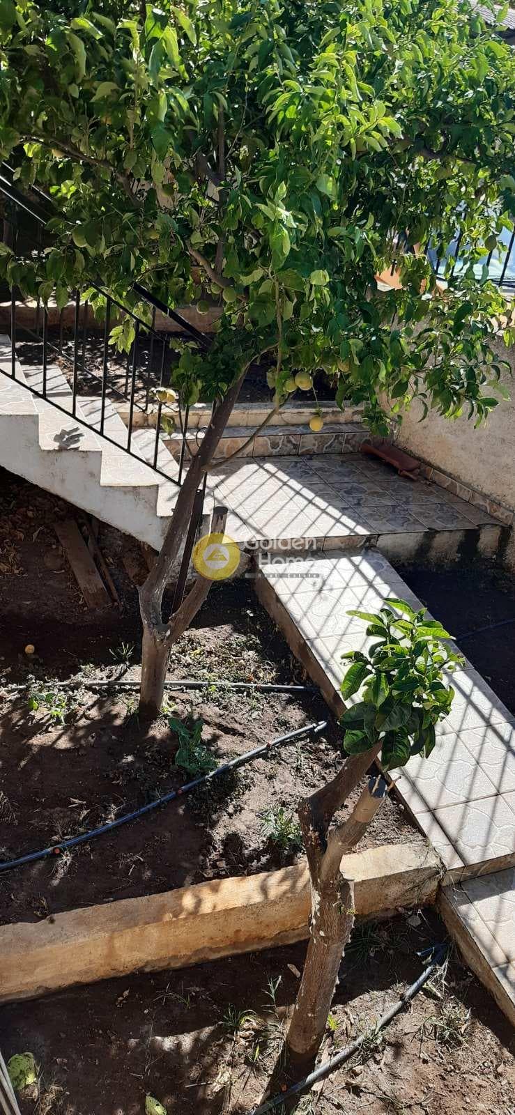Αγροτεμάχιο στην Πλάκα, Κερατέα — Φωτογραφία 7 από 13