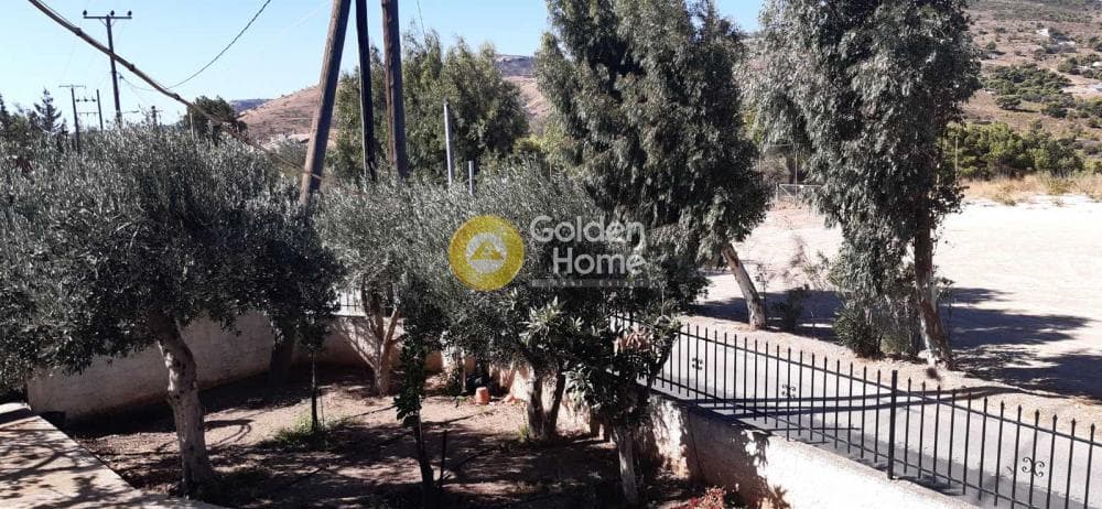 Αγροτεμάχιο στην Πλάκα, Κερατέα — Φωτογραφία 10 από 13