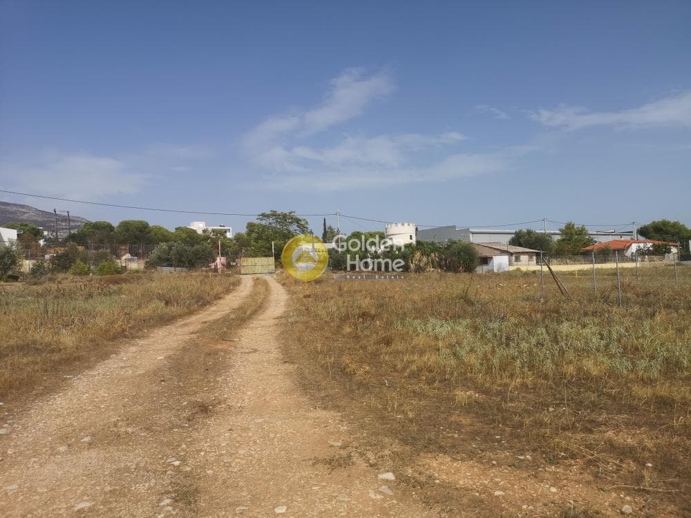 Building Plot in Megala Sxoinia A, Acharnes — Photo 1 of 4