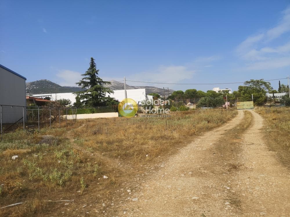 Building Plot in Megala Sxoinia A, Acharnes — Photo 2 of 4