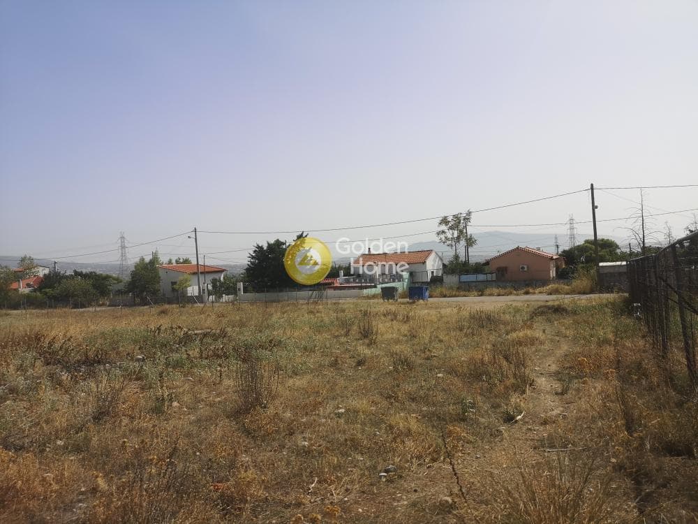 Building Plot in Megala Sxoinia A, Acharnes — Photo 4 of 4