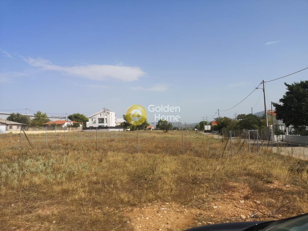 Building Plot in Megala Sxoinia A, Acharnes — Photo 1 of 4
