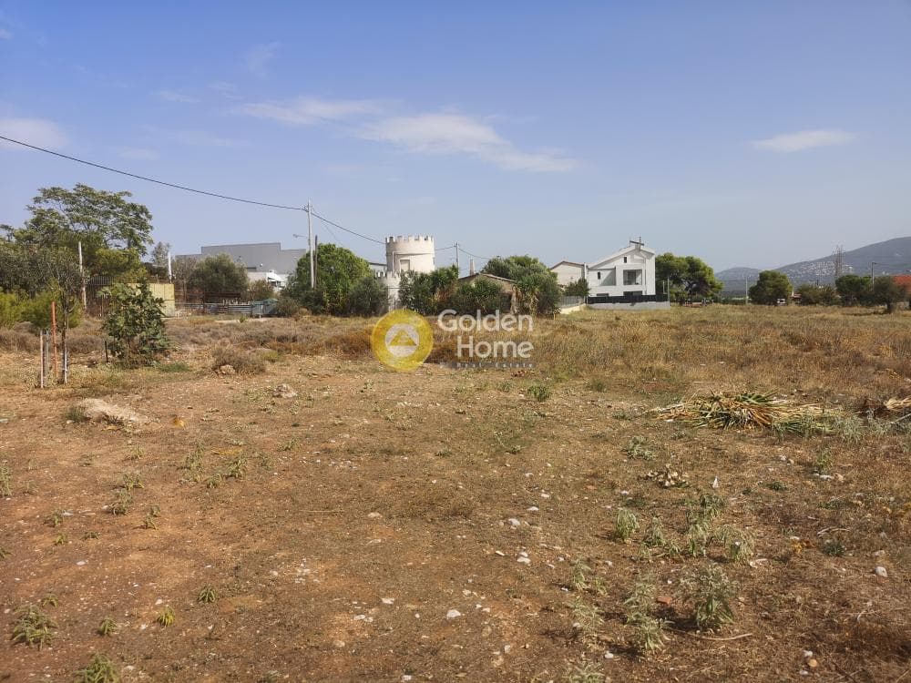 Building Plot in Megala Sxoinia A, Acharnes — Photo 3 of 4