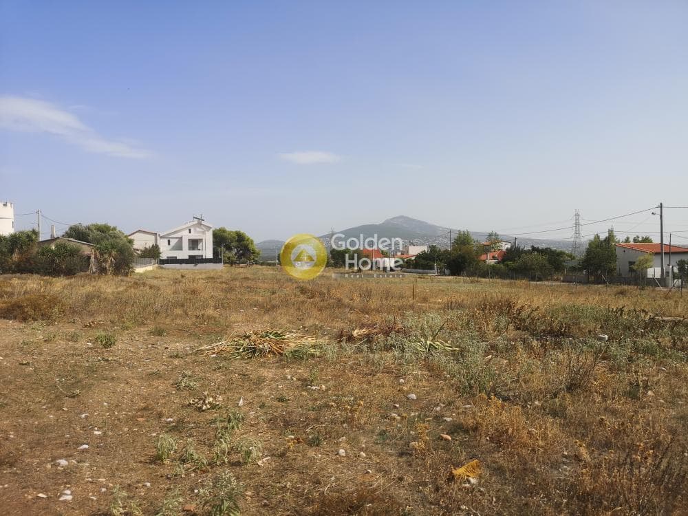 Building Plot in Megala Sxoinia A, Acharnes — Photo 4 of 4
