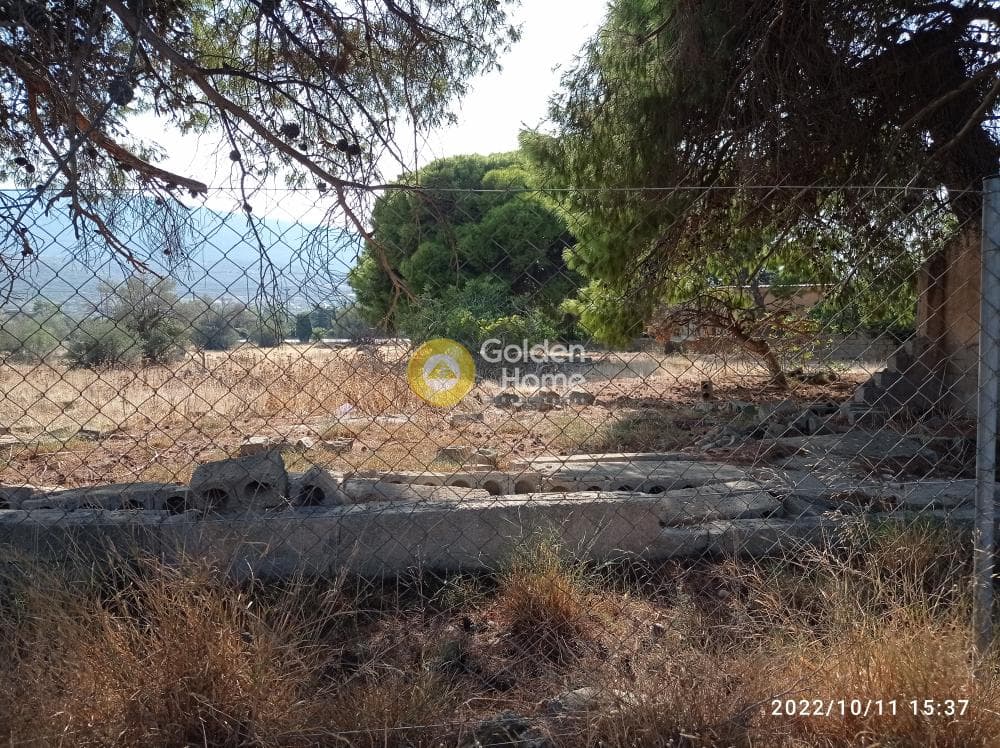 Αγροτεμάχιο στην Κέντρο, Καλύβια Θορικού — Φωτογραφία 2 από 13