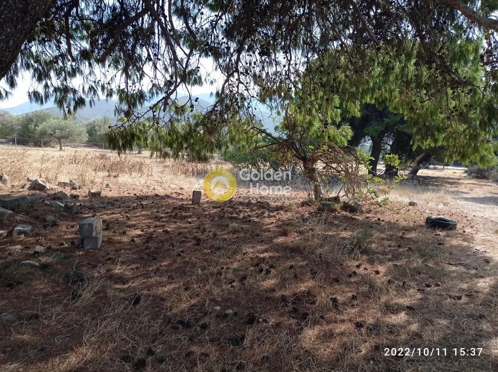 Αγροτεμάχιο στην Κέντρο, Καλύβια Θορικού — Φωτογραφία 3 από 13