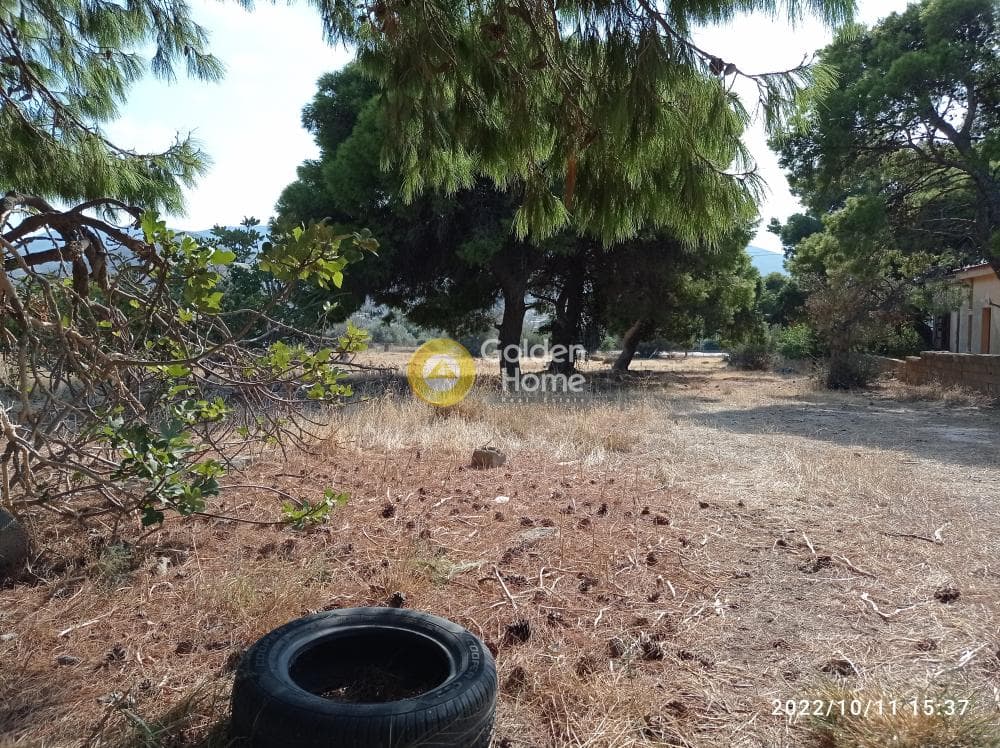 Αγροτεμάχιο στην Κέντρο, Καλύβια Θορικού — Φωτογραφία 6 από 13