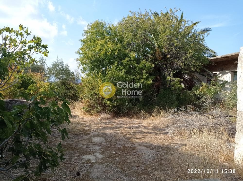 Αγροτεμάχιο στην Κέντρο, Καλύβια Θορικού — Φωτογραφία 7 από 13