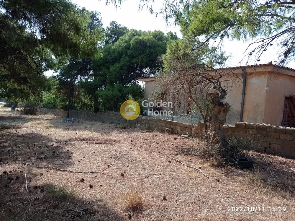 Αγροτεμάχιο στην Κέντρο, Καλύβια Θορικού — Φωτογραφία 10 από 13