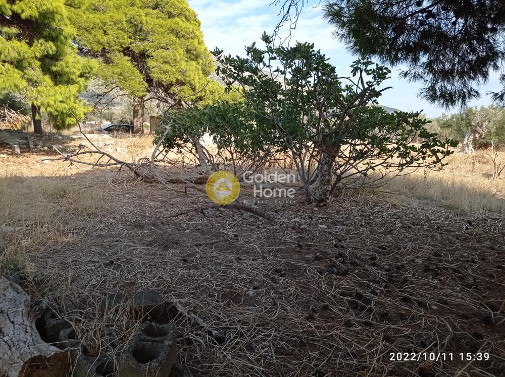 Αγροτεμάχιο στην Κέντρο, Καλύβια Θορικού — Φωτογραφία 11 από 13