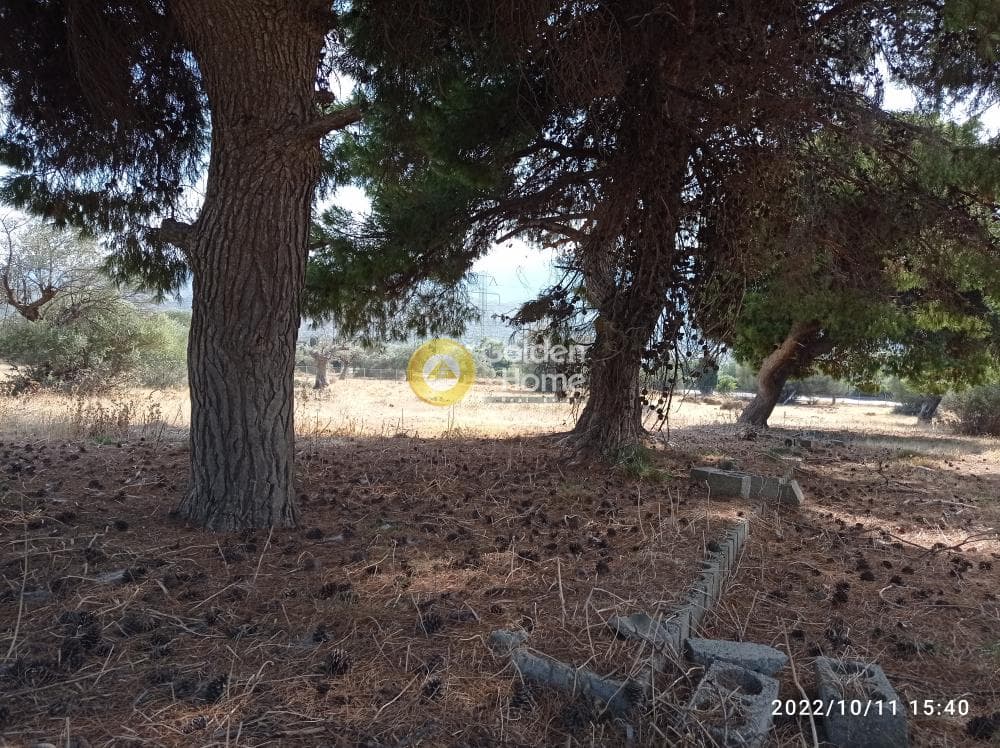Αγροτεμάχιο στην Κέντρο, Καλύβια Θορικού — Φωτογραφία 12 από 13