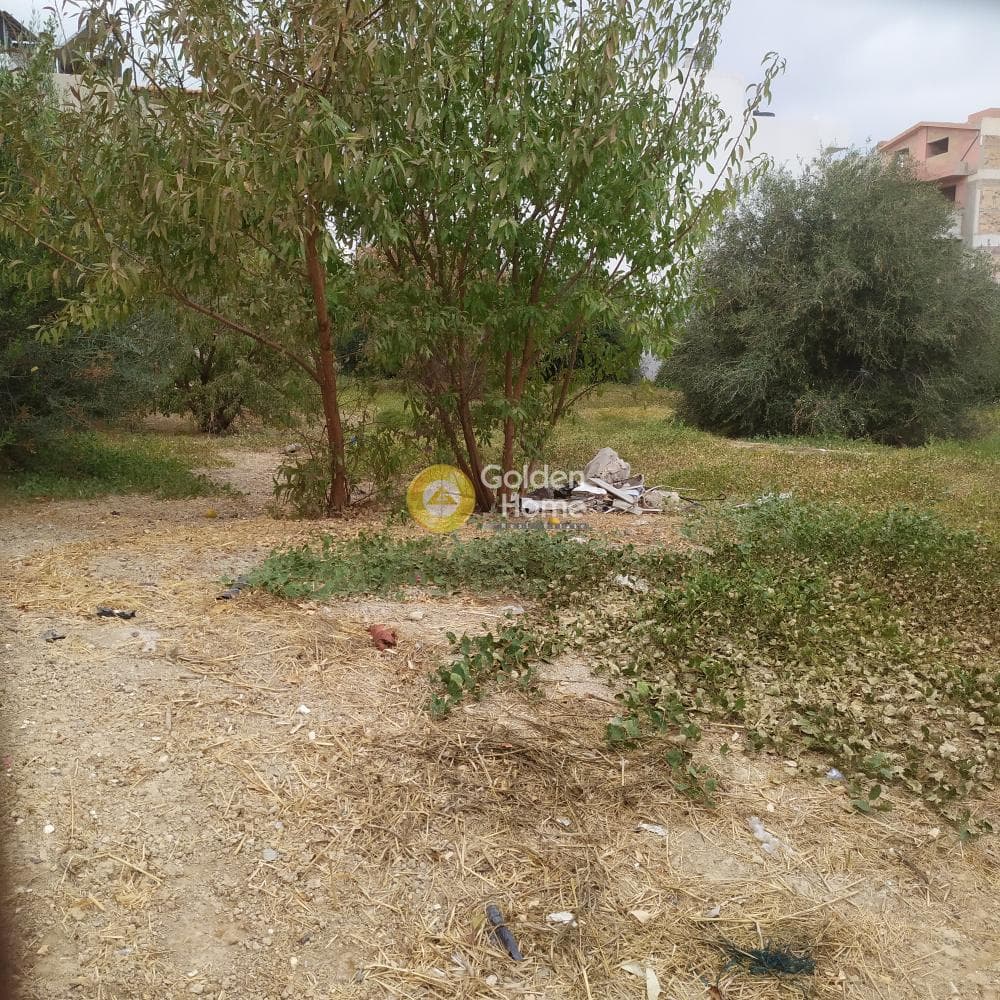 Οικόπεδο στην Άγιος Ιωάννης Κνωσσού, Ηράκλειο Κρήτης — Φωτογραφία 8 από 12