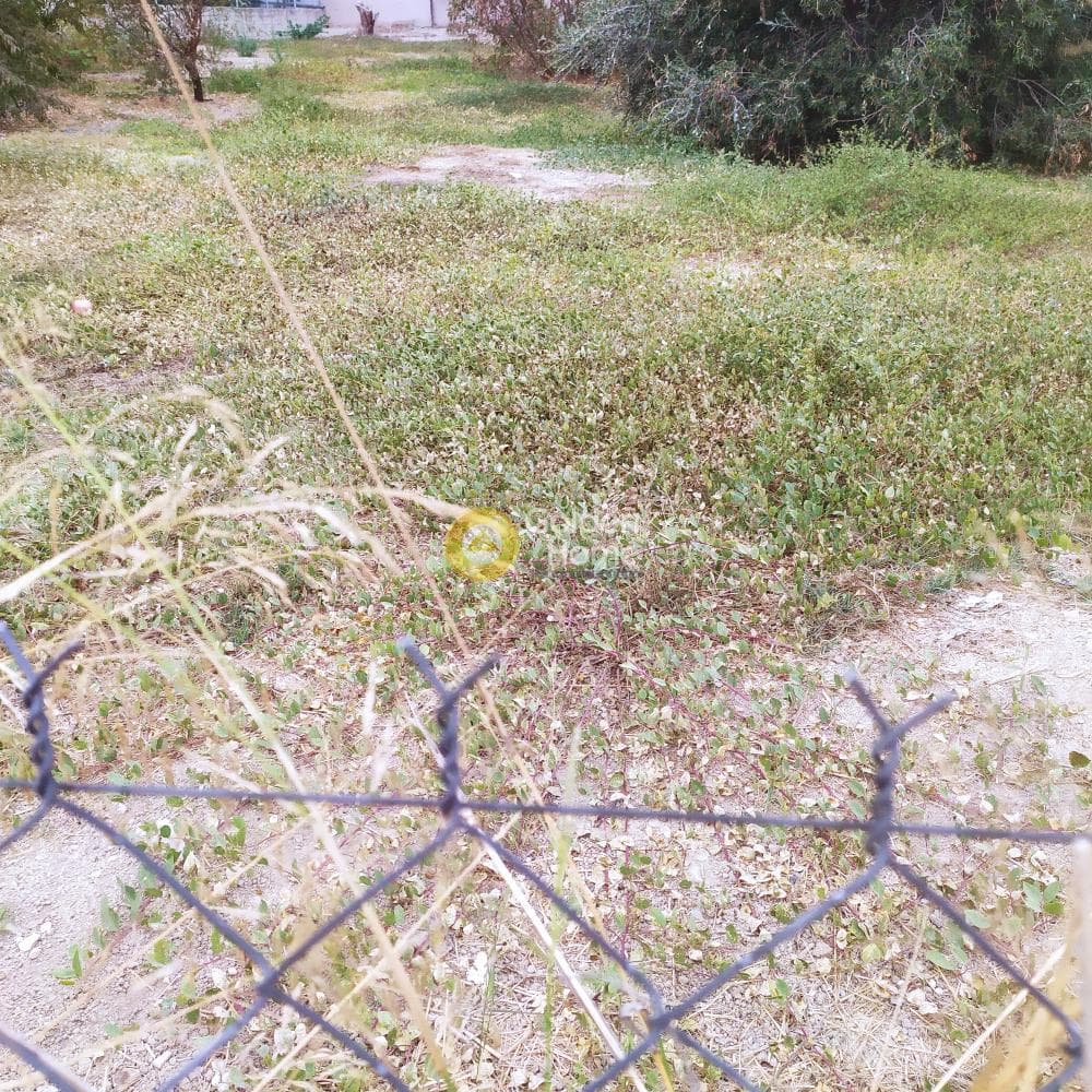 Οικόπεδο στην Άγιος Ιωάννης Κνωσσού, Ηράκλειο Κρήτης — Φωτογραφία 11 από 12