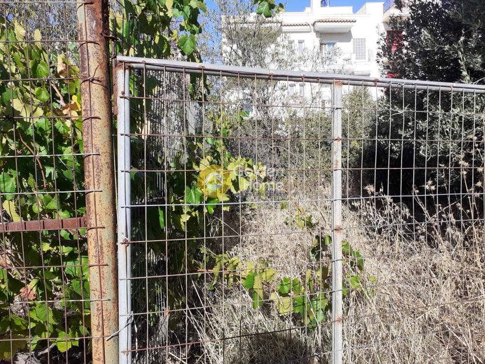 Οικόπεδο στην Πευκάκια, Αγία Παρασκευή — Φωτογραφία 6 από 6