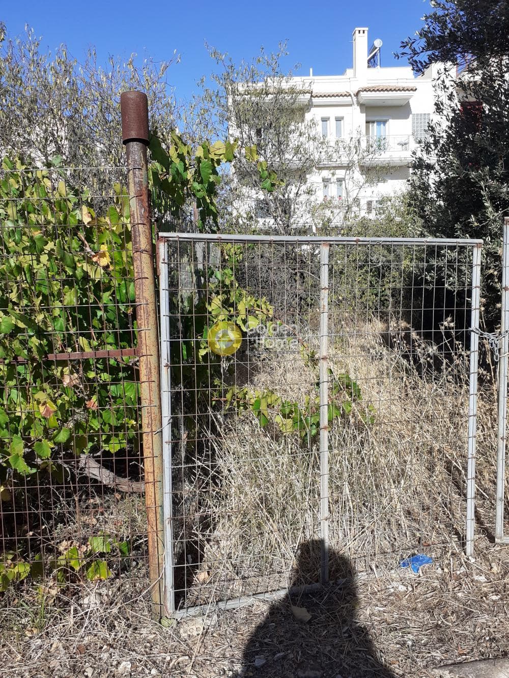 Οικόπεδο στην Πευκάκια, Αγία Παρασκευή — Φωτογραφία 2 από 6