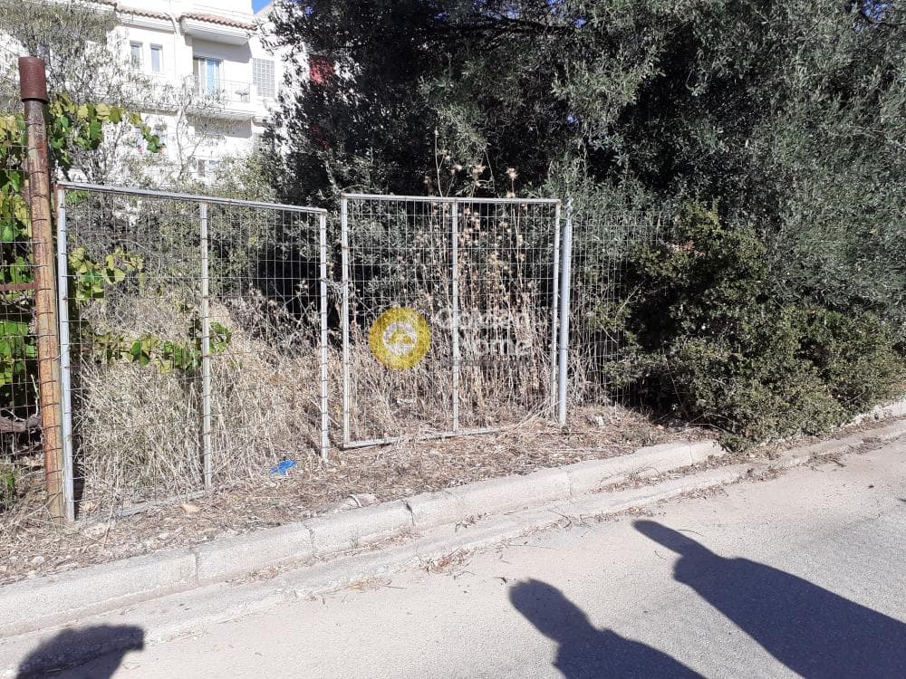 Οικόπεδο στην Πευκάκια, Αγία Παρασκευή — Φωτογραφία 3 από 6
