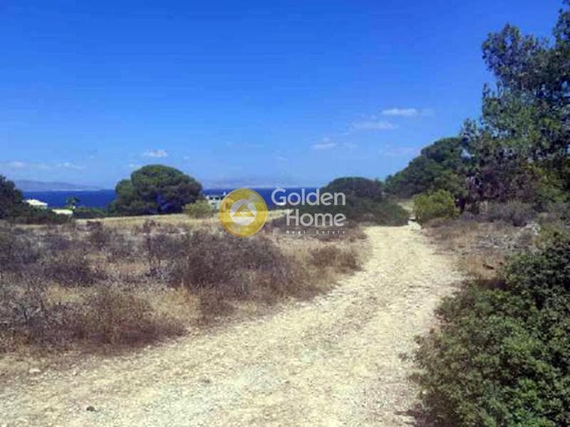 Parcel in Vagia, Aegina — Photo 1 of 4